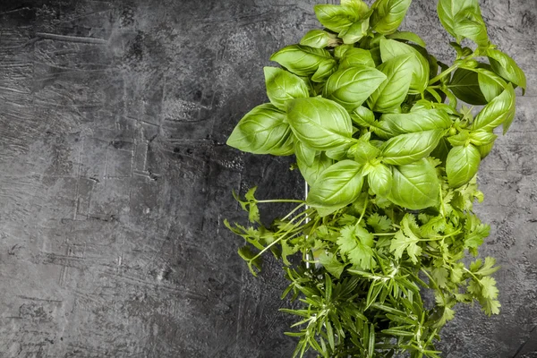 Fresh herbs on grey background — Stock Photo, Image