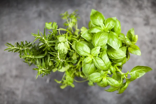 Fresh herbs on grey background — Stock Photo, Image