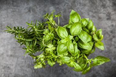 Gri arka plan üzerinde taze otlar