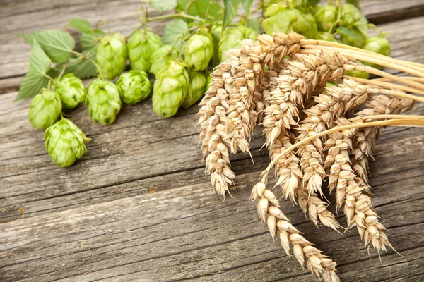 Malz und Hopfen — Stockfoto