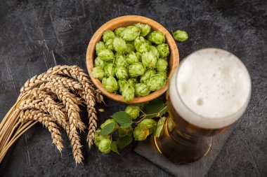 koyu arka plan üzerinde bira cam