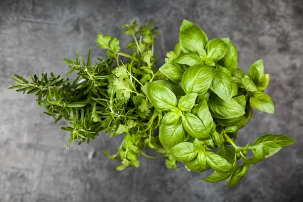 Fresh herbs on grey background — Stock Photo, Image