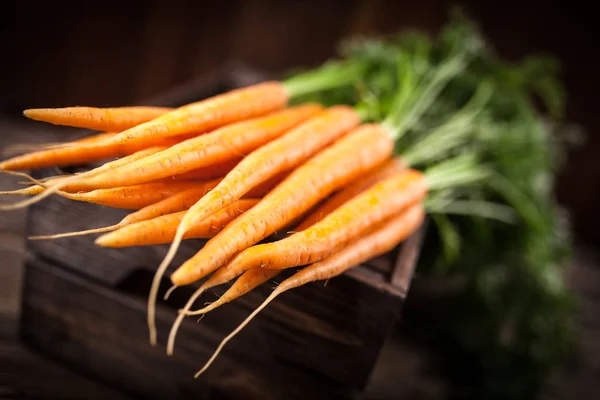 Carota biologica fresca — Foto Stock