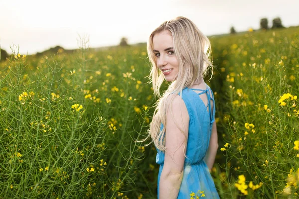 Молодая красивая женщина в поле — стоковое фото