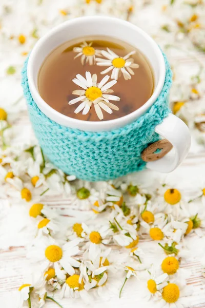 Taza de té de manzanilla — Foto de Stock
