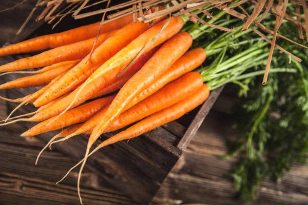 Carota biologica fresca — Foto Stock