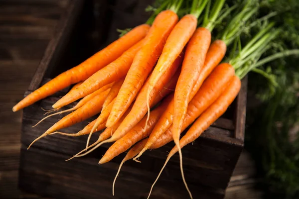 Φρέσκα βιολογικά καρότα — Φωτογραφία Αρχείου