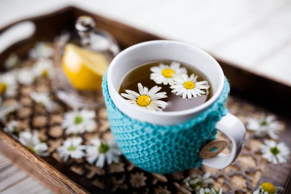 Filiżanka herbaty z rumianku — Zdjęcie stockowe