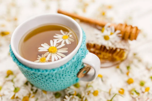 Honeycomb a Heřmánkový čaj na bílé — Stock fotografie