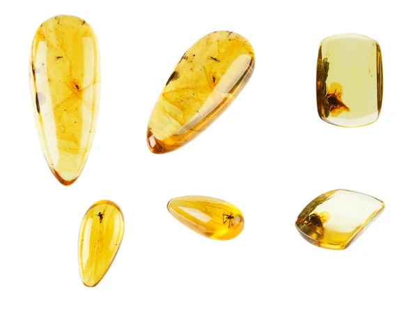 Amber jewelry on white background — Stock Photo, Image