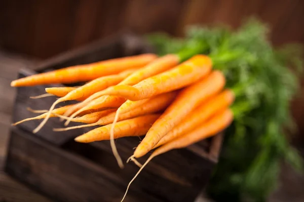 Carota biologica fresca — Foto Stock