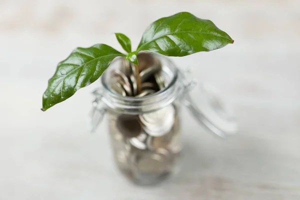 Munten in een glazen pot — Stockfoto