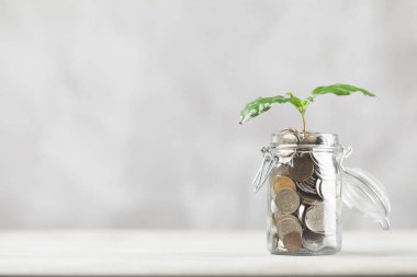 paralar cam kavanozda