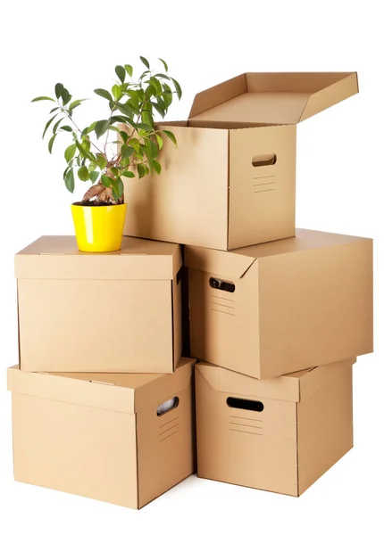 Cardboard boxes on white background — Stock Photo, Image