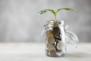 paralar cam kavanozda