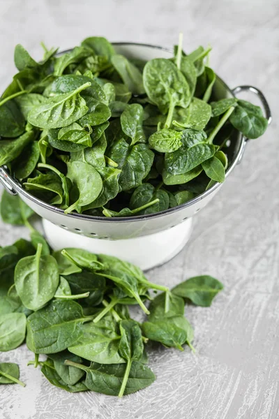 Baby spinach leaves — Stock Photo, Image