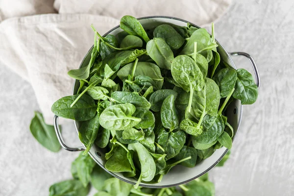 Baby spinach leaves — Stock Photo, Image