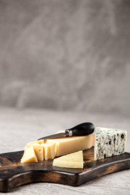 farklı çeşit peynir