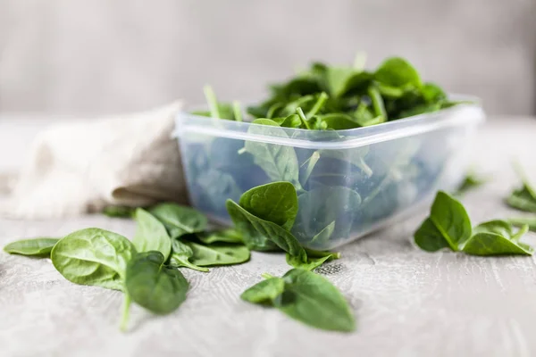 Baby spinach leaves — Stock Photo, Image