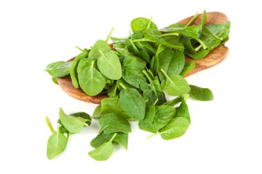 Bebek ıspanak yaprakları