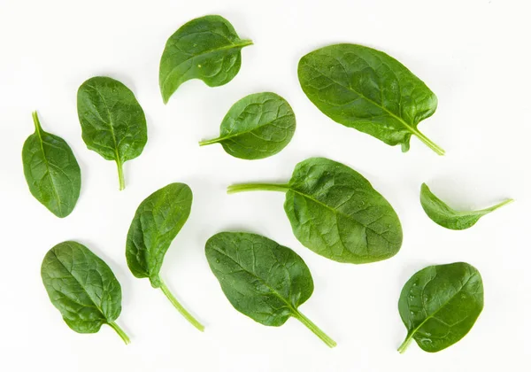 Baby spinach leaves — Stock Photo, Image