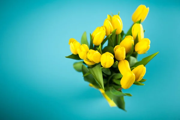 Tulipanes amarillos sobre fondo azul — Foto de Stock