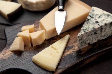 farklı çeşit peynir