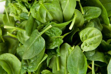 Bebek ıspanak yaprakları