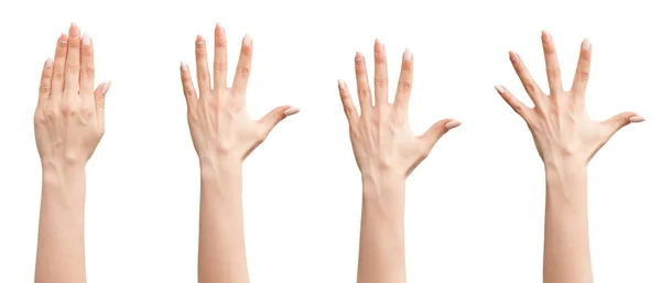 Set of female hands — Stock Photo, Image