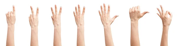 Set of female hands — Stock Photo, Image