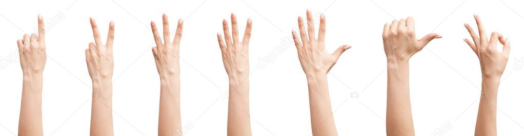 Set of female hands