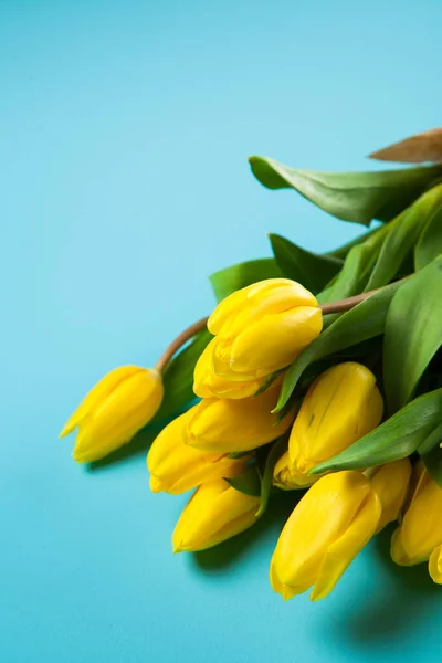 Tulipanes amarillos sobre fondo azul — Foto de Stock