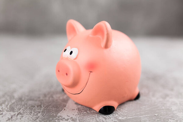 Piggy bank on grey background