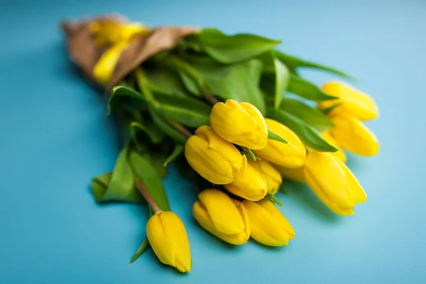 Tulipanes amarillos sobre fondo azul — Foto de Stock