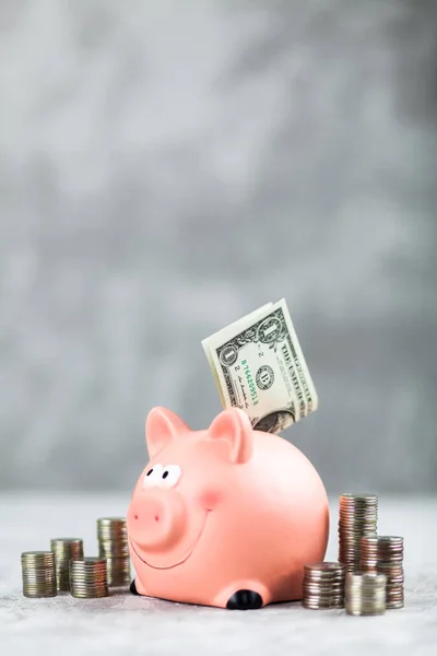 Piggy bank on grey background — Stock Photo, Image