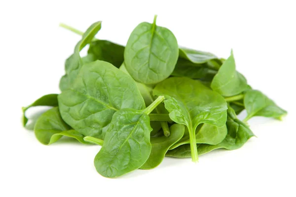 Baby spinach leaves — Stock Photo, Image