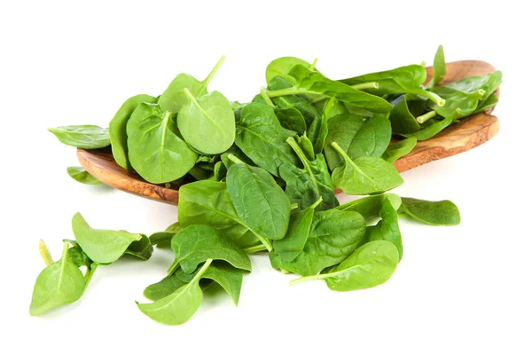 Foglie di spinaci — Foto Stock