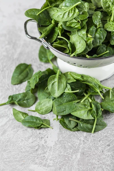 Baby spinach leaves — Stock Photo, Image