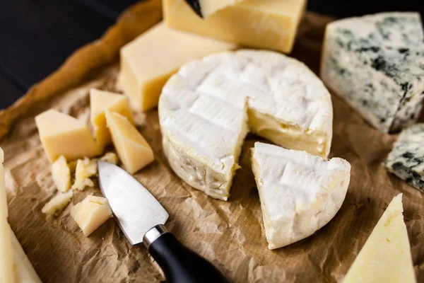 異なる種のチーズ — ストック写真