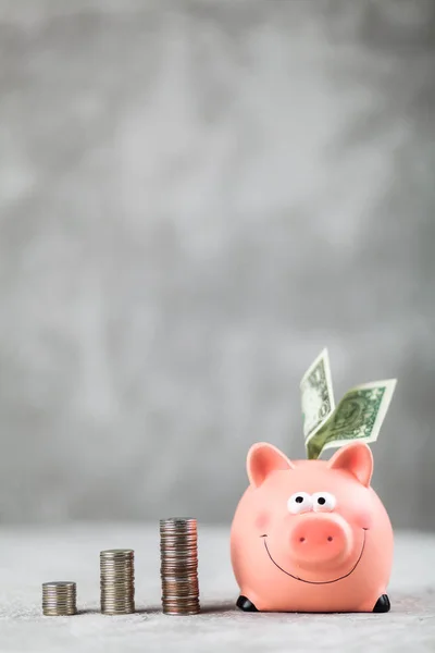 Piggy bank on grey background — Stock Photo, Image