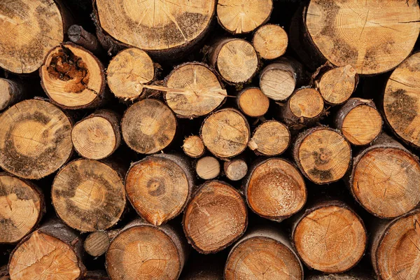 薪材原木质感 — 图库照片