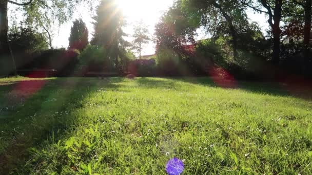 Parque en el sol de la tarde Vídeo De Stock