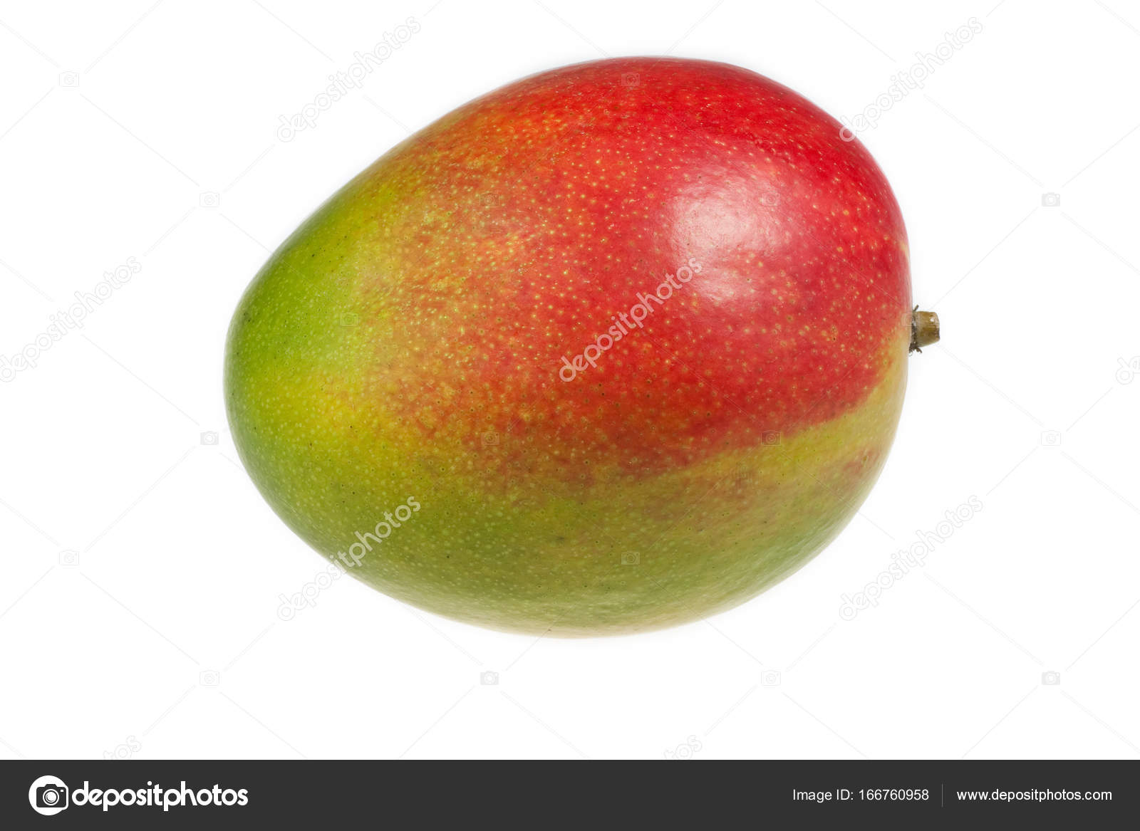 Mango meyvesi Mango meyvesi