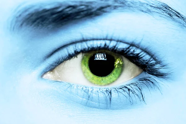 Green eye close up — Stock Photo, Image