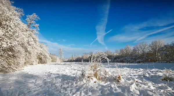 Paysage d'hiver blanc — Photo