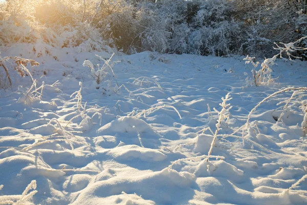 Paysage d'hiver blanc — Photo