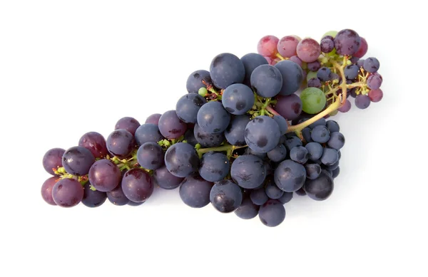 Красный виноград — стоковое фото