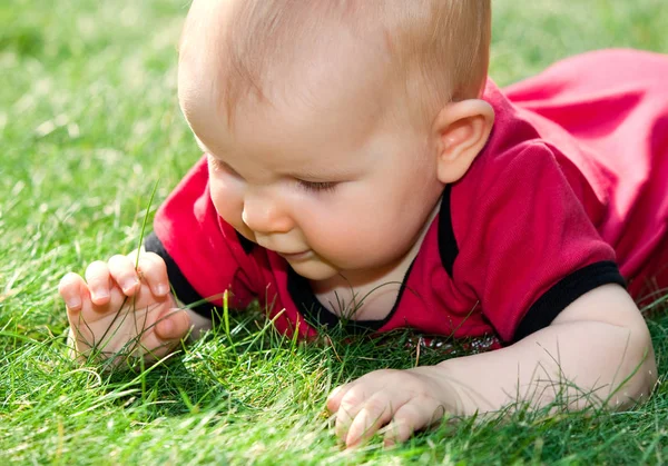 Ребенок играет на траве — стоковое фото