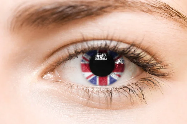 Iris with flag — Stock Photo, Image