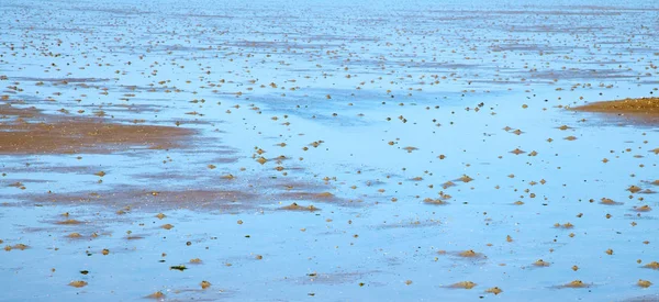 Morze Wattowe — Zdjęcie stockowe